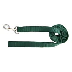 Hamilton Single Thick Leash Short - nailoninis pavadėlis vidutinio dydžio ir didelių veislių šunims, plotis ilgis 122 cm