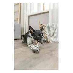Trixie skanėstas šunims Denta Fun Chewing Curl su jautiena, be pakuotės, 12 cm, 12 g — 2 nuotrauka