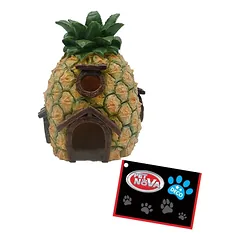 PET NOVA graužikų dekoracija ananasas 12×11.5x16cm — 2 nuotrauka
