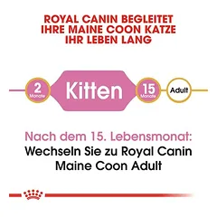 Royal Canin Maine Coon Kitten sausas maistas kačiukams, > 10 kg — 4 nuotrauka