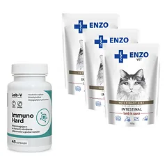 ENZO VET Žarnynas su ėriena padaže katėms 3x100g + LAB-V Immuno Hard 45 kapsulės