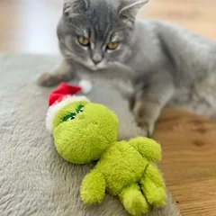 Aumüller žaislinė pagalvėlė katėms Weihnachtsmuffel Minz, 1 vnt. — 4 nuotrauka