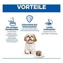 Hill's Science Plan Mature Small & Mini Mousse drėgnas maistas šunims — 5 nuotrauka