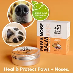 DOGSLIFE natūralus balzamas pėdučių ir nosyčių priežiūrai, bekvapis, 60 ml — 3 nuotrauka