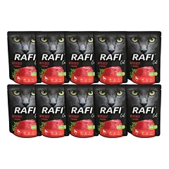 DOLINA NOTECI Rafi Cat drėgnas kačių ėdalas su jautiena 10x300 g