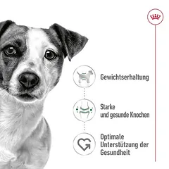 Royal Canin Mini Adult Mousse drėgnas maistas šunims — 3 nuotrauka