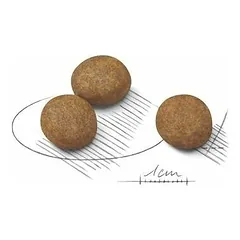 Royal Canin SHN Maxi Puppy sausas maistas šuniukams 1kg — 3 nuotrauka