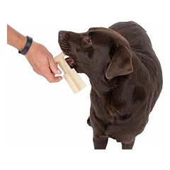 TIAKI T formos kramtomasis žaislas Peanut Butter šunims, Dideliems 26–45 kg — 5 nuotrauka