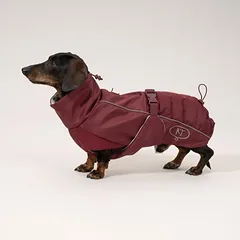 Nomad Tales Spirit softshell paltas šunims, bordo, apie 55 cm Nugaros ilgis — 2 nuotrauka