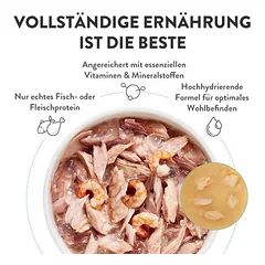 Schesir Complete Nutrition filė sultinyje 6 x 50 g skardinėse, drėgnas maistas katėms, < 79 g — 4 nuotrauka
