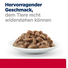 Hill's Prescription Diet c/d Multicare Stress Urinary Care su lašiša, drėgnas maistas katėms — 4 nuotrauka