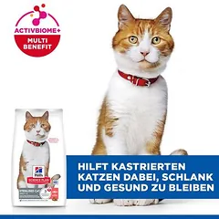 Hill's Science Plan Adult Sterilised su lašiša, sausas maistas katėms, 5 - 9,9 kg — 4 nuotrauka