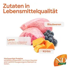 Farmina N&D Pumpkin Puppy Medium & Maxi su ėriena ir mėlynėmis, sausas maistas šunims — 3 nuotrauka