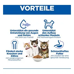 Hill's Science Plan Kitten <1 su lašiša, sausas maistas kačiukams, 5 - 9,9 kg — 5 nuotrauka