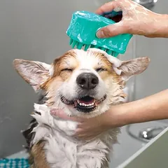 KONG masažinis šepetys Zoom Groom Bubbles, pildomas, L 11,4 x B 7 x H 7 cm — 2 nuotrauka