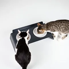 LucyBalu Futterstation DINE