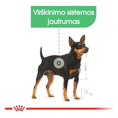 ROYAL CANIN Mini Digestive Care sausas pašaras šunims, SHN 3kg — 3 nuotrauka