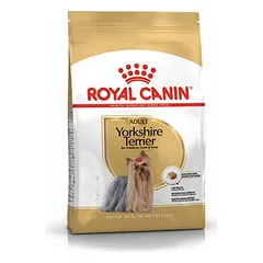 Royal Canin Yorkshire Terrier