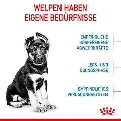 Royal Canin Maxi Puppy sausas maistas šunims, > 10 kg — 5 nuotrauka