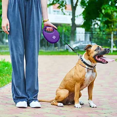 Automatinis šviesą atspindintis pavadėlis šunims su maišelių laikikliu, M dydis iki 20 kg — 2 nuotrauka