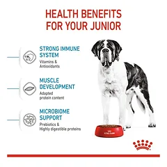ROYAL CANIN Giant Junior sausas pašaras šunims 15 kg — 3 nuotrauka