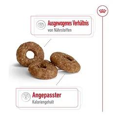 Royal Canin Mini Ageing 12+ sausas maistas šunims, 3 - 4,9 kg — 4 nuotrauka