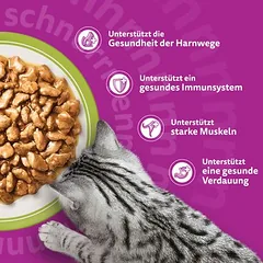 Didelė pakuotė Whiskas Senior paketėliai 84 x 85 g, drėgnas maistas katėms, 80 - 99 g — 3 nuotrauka