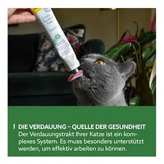 GimCat Gastro Intestinal pasta, skanėstai katėms — 3 nuotrauka