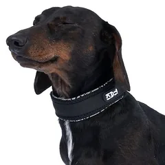TIAKI Reflective antkaklis, Mažiems 5–10 kg — 2 nuotrauka