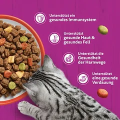 Whiskas 1+ su jautiena, sausas maistas katėms, < 1,4 kg — 2 nuotrauka