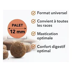 France Croquettes Trockenfutter für Hunde Royal Agneau Medium