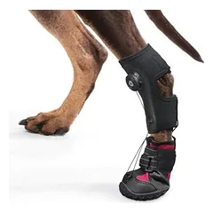 Zoomtopia Stützschuhe für Hundepfoten