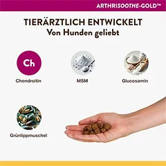 NaturVet ArthriSoothe-Gold skanėstai, papildas šunims, 120 kramtukų — 4 nuotrauka