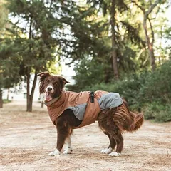 Nomad Tales Bloom paltukas šunims Warm Taupe, Vidutiniams 11–25 kg — 3 nuotrauka