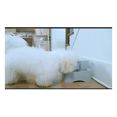 PetSafe Drinkwell Pet Fountain - fontanas šunims ir katėms — 2 nuotrauka