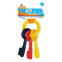 Nylabone Puppy Chew Keys - šunų kramtomasis žaislas su šoninės kvapu, skirtas šuniukams, formos kaip raktai, XS — 4 nuotrauka