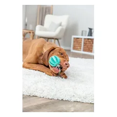 TRIXIE Denta Fun Kamuolys su virve, natūrali guma, 7-24 cm, 1 vnt. — 2 nuotrauka