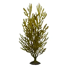 Aqua Della dirbtinis akvariumo augalas Kelpstrauch, žalias — 3 nuotrauka