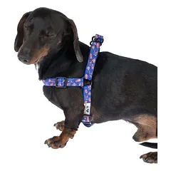 WARNER BROS DC Superman petnešos, mėlynos, Vidutiniams 11–25 kg — 3 nuotrauka
