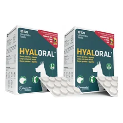 Hyaloral Giant N240 papildai sąnariams