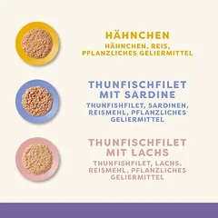 Applaws Senior drėgnas maistas katėms, ekonominė pakuotė 12 x 70 g, < 79 g — 2 nuotrauka