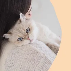 GimCat Nutri Vitamin Bites su višta, skanėstai katėms — 5 nuotrauka