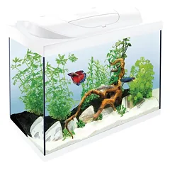 Starter Line LED akvariumo rinkinys