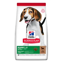 Hills Science Plan Puppy Medium Lamb and Rice sausas maistas vidutinių veislių šuniukams, 14 kg