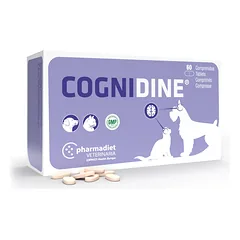 Cognidine Papildai šunims ir katėms nervų sistemai palaikyti N60
