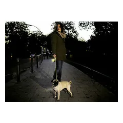 flexi Neon S 5m green (tape) — 3 nuotrauka