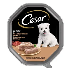 CESAR Junior 150 g kalakutienos ir veršienos paštetas šuniukams photo