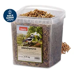 PANTO Soldatenfliegenlarven - Wildvogelfutter für Gartenvögel proteinreich