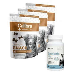 Calibra VD Gastrointestinal Crunchy Snack 3x120g + LAB-V Synbiotic Vet - virškinamojo trakto sveikata ir žarnyno mikroflora šunims ir katėms 45 kapsulės