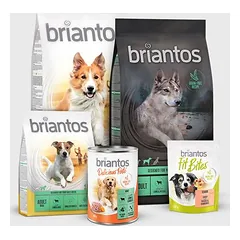 Briantos Biski Mini — 4 nuotrauka